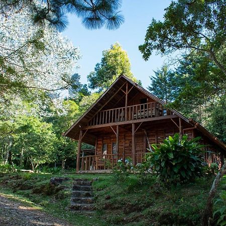 Cabanas El Coyote San Pablo  Экстерьер фото