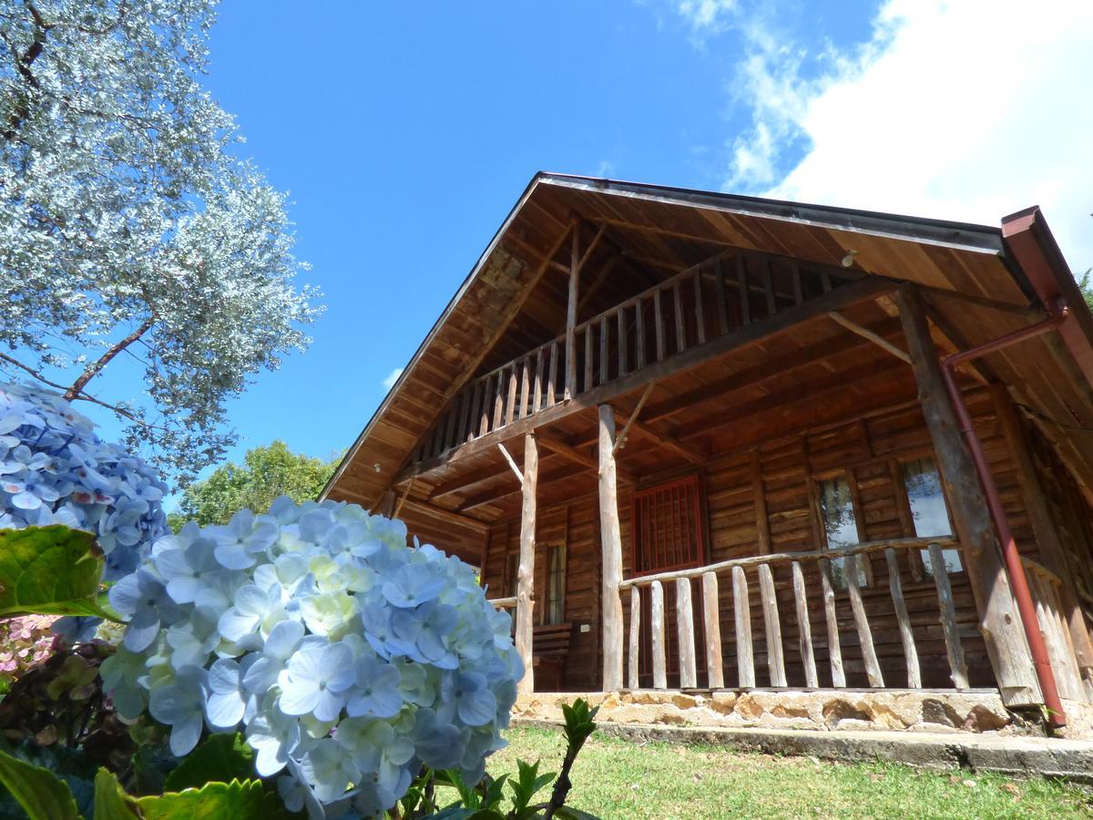 Cabanas El Coyote San Pablo  Экстерьер фото