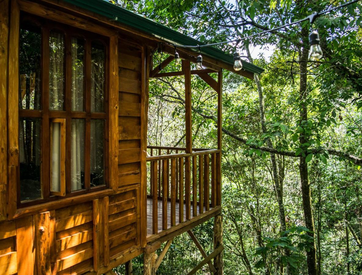 Cabanas El Coyote San Pablo  Экстерьер фото
